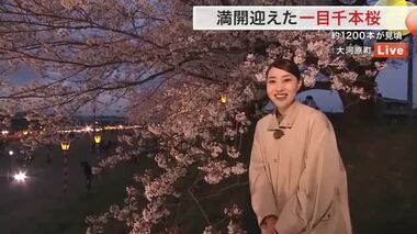 夜桜のライトアップも「さくら名所１００選」満開の一目千本桜をリポート〈宮城〉