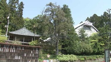 大規模保全工事中の国の重要文化財「大安禅寺」本堂で上棟式