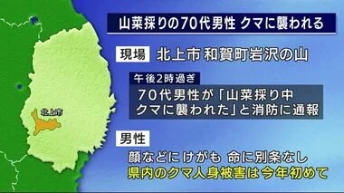 山菜採りの男性クマに襲われけが　顔など引っかっかれる　２０２４年初の人身被害＜岩手・北上市＞