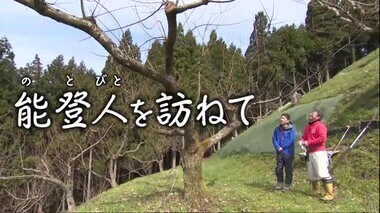 能登人を訪ねて…糖度30度を超える能登栗を作り出した松尾栗園は今