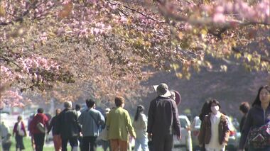 大型連休3日目 北海道各地は大勢の人でにぎわう…サクラとウメの競演 “花より団子”のスイーツ 名残の雪で春スキーを楽しむ人も