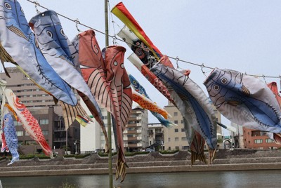 春風に泳ぐこいのぼり　「アジの干物」も悠々と　静岡・沼津