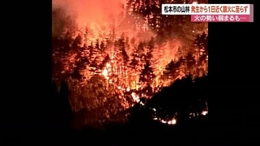 「山肌が真っ赤に」山火事発生から1日…鎮火に至らず消火活動続く　野焼きの火が空き家に燃え移り、林に飛び火したか　70代男性けが