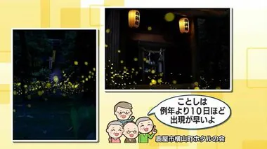 「今年はホタルが飛ぶのが早いんじゃないの！」実際に確かめてみた　鹿児島・さつま町、鹿屋市