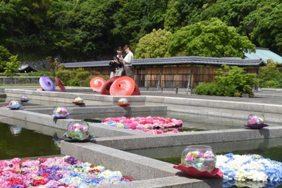 松山城で「恋する庭園2024」　約3000本の花が園内彩る