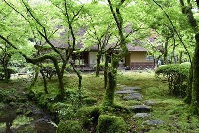 新緑の山林と「一体化、秀逸」　実業家が9年かけて建てた茶室　佐賀