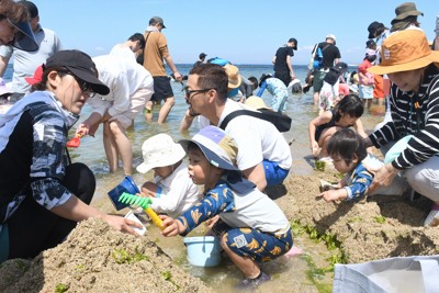 「酒蒸しか鍋に」　二色の浜、潮干狩りでにぎわう　大阪