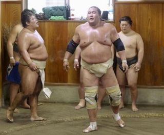 照ノ富士は出場、初日に大の里と　豊昇龍は熱海富士、琴桜は大栄翔