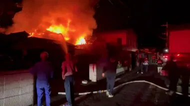 【速報】火事現場から逃げた「大型犬ピットブル」見つかる ”飼われていた住宅に戻っていた”