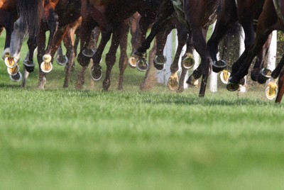 中央競馬・オークス、枠順決まる　ステレンボッシュ2冠なるか