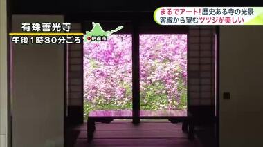 【北海道の天気 5/20(月)】歴史ある花寺で今だけ楽しめる日本の美！客殿の障子越しに鮮やかなヨドカワツツジ