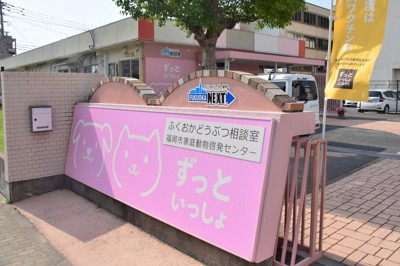 ペット同伴、専用の避難所開設へ　福岡市、2カ所で試験運用