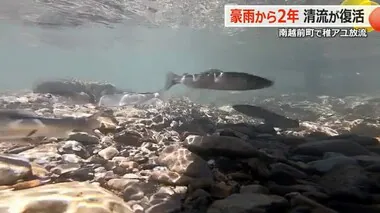 豪雨災害から2年　“復興の象徴”アユやヤマメの稚魚を児童が放流　南越前町・河野川