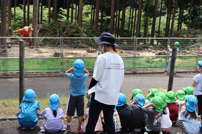 園児が見学＆声援　「木のおもちゃ美術館」予定地で伐採作業　静岡