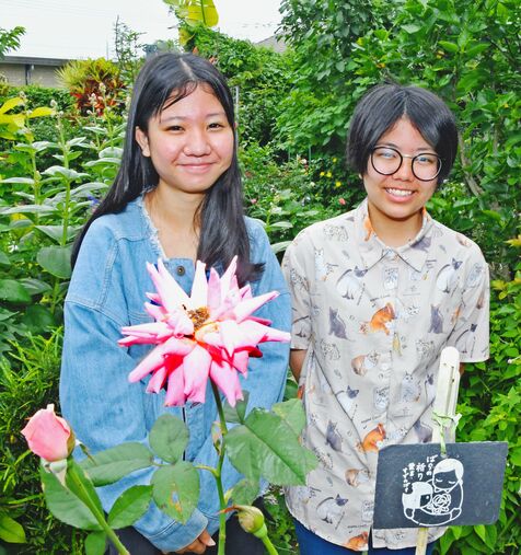 第五福竜丸のバラ開花　乗員が育てた木から挿し木　西江さんら集会から持ち帰る　南城市つきしろのバラ園