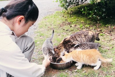 天皇ご一家の飼い猫の写真を公開　園遊会の「猫談義」話題に