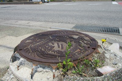 地震で浮き出たマンホールから花が　6カ月目、傷痕残る石川・輪島