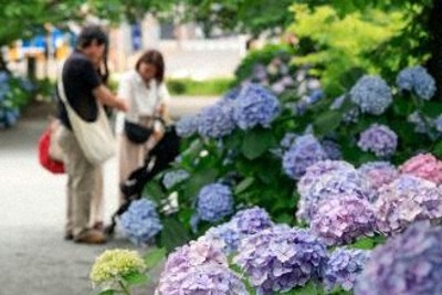 18日は広範囲で大雨に警戒を　四国、九州には線状降水帯の可能性