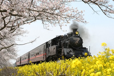 運転士がアルコール基準値超で「SLもおか」を運転　真岡鉄道