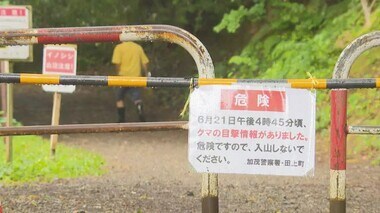 クマ目撃で護摩堂山が“入山規制”　アジサイ目当てに登山者の姿も「ばったり会わなければ…」【新潟】