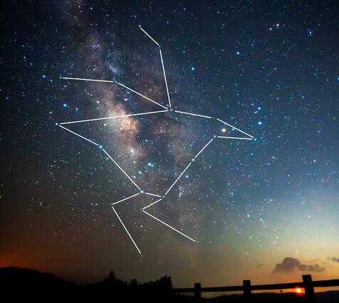 天の川で水浴びするヤンバルクイナ　沖縄・国頭村が独自の星座　星空観光の促進に期待