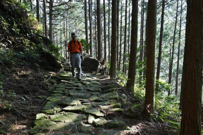 「巡礼の道」広まる魅力　熊野古道、SNS・動画・歩き旅…三重県PR