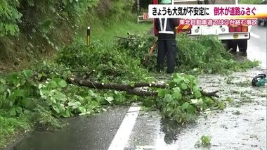 郡山市では倒木の被害も　10日の福島県内は短時間に強い雨　東北道で3台が絡む事故　不安定な天気続く