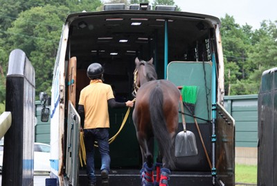 北海道へ長距離移動も　競走馬の夏の過ごし方は？＝井内利彰さん