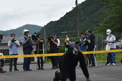 麻酔銃で「クマ」倒し、捕獲するまで　猟友会などが合同訓練　三重