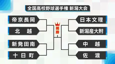 【新潟８強・戦績一覧】帝京長岡に北越　日本文理に新潟産大附が挑む　新発田南と十日町の公立対決に注目　シード撃破の佐渡は中越と対戦