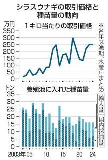 夏バテ防止、ウナギ商戦活況　串や太巻きなど品ぞろえ多様