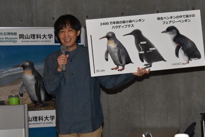 2400万年前の化石ペンギンは新種　NZで発見、最小級で最古