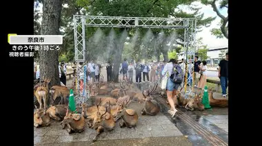 猛暑列島「暑すぎ…冬に戻って」各地で連続猛暑日を更新　台風7号 お盆Uターンラッシュ直撃か