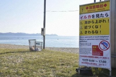 イルカに襲われ男性3人けが　1人は手を5針縫う　福井の海水浴場