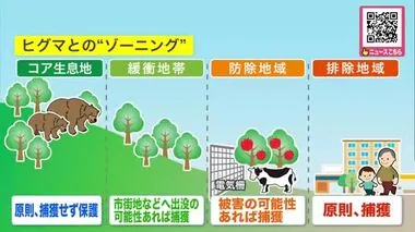 ヒグマの被害相次ぎ北海道が”ゾーニング管理”導入を検討 「クマを保護する区域」や「人間の活動を優先する区域」などを設定し適切な共存図る