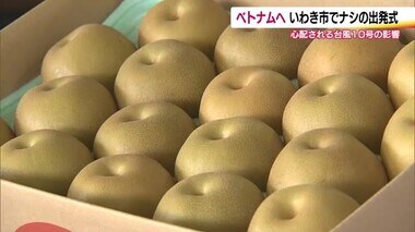 いわきのナシがベトナムへ　第一陣が出発　順調に育った”豊水”　果樹農家は台風を心配《福島県》