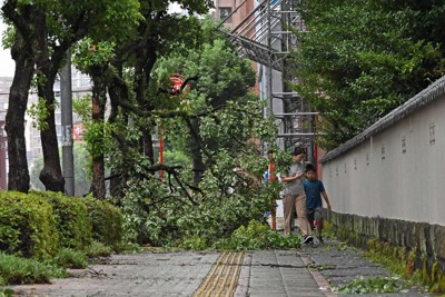 台風10号上陸、宮崎や鹿児島など31人けが　暴風・大雨長引く