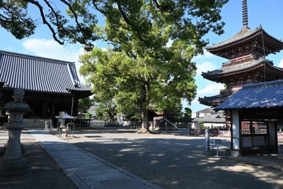 兵庫・斑鳩寺の仏画、真鍮泥で描かれたと判明　国内最古の事例