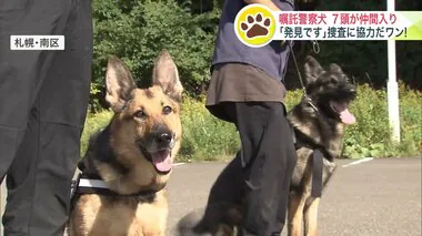 「我が子のようにかわいい」7頭の犬たちが “嘱託警察犬” に　札幌南警察署が犬と飼い主に嘱託書を手渡す…「グウくん」が訓練の成果を披露 見事犯人役を発見