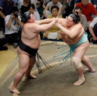 琴桜６勝目、豊昇龍は五分　大の里勝ち越し、単独首位守る