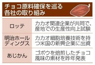 チョコ原料確保に企業奔走　「カカオショック」で高騰