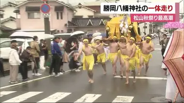 「わっさ～」ふんどし姿でみこし担ぎ参道疾走　勝岡八幡神社の一体走り　松山秋祭り【愛媛】