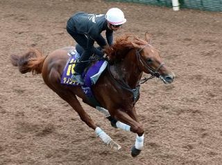 ダノンデサイル、２冠へ良好　競馬の菊花賞追い切り