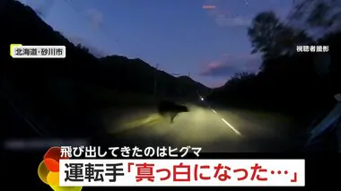 「本当に一瞬、何が何だか」走行中の車が約1mのヒグマと衝突…車の前部分は大破もクマは“走り去る”　北海道・砂川市