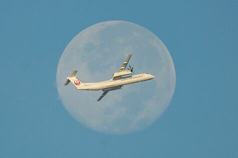 沖縄・那覇の空に浮かぶ「月丼」　「信頼の翼」が月を横切る