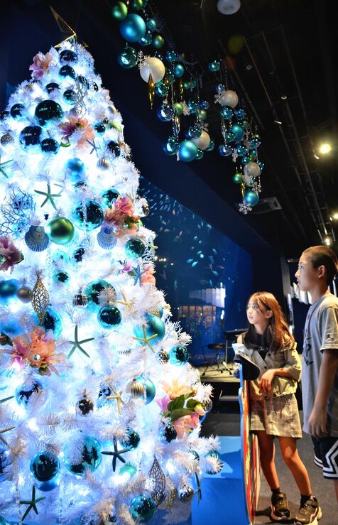 降雪やペンギンに映える「深海のクリスマスリース」　沖縄のDMMかりゆし水族館、初のクリスマスイベント　「しまんちゅ割」で2割引きも　豊見城市