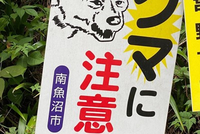 ヒグマ駆除「不安なくできる仕組みを」　北海道と猟友会、国に要望へ