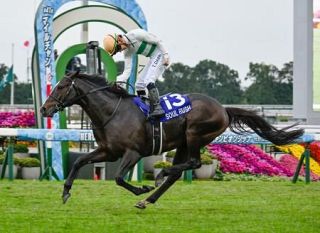 マイルＣＳ、ソウルラッシュ優勝　競馬Ｇ１初制覇で重賞４勝目