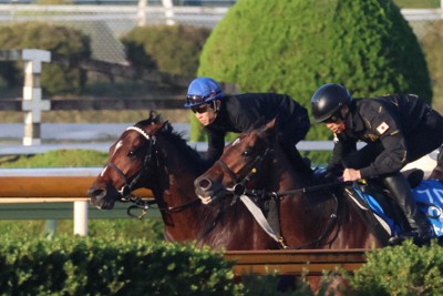 外国馬に負けられぬ「日本の馬場」　ジャパンカップ＝井内利彰さん