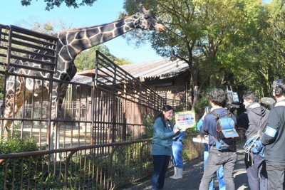 画面越しに「ゾウの体重は?」　小児病棟からオンラインで動物園見学